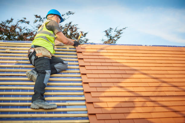 Roof Insulation in Mila Doce, TX